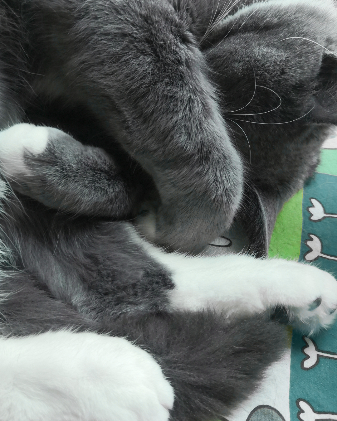 bodyfullness tapahtumat Helsinki